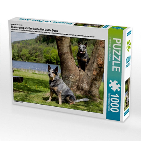 Ein Motiv aus dem Kalender Spaziergang am See Australian Cattle Dogs (Puzzle), Verena Scholze