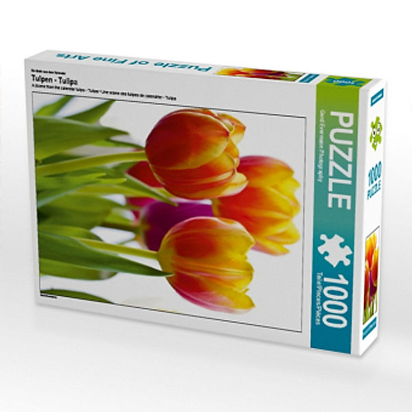 Ein Motiv aus dem Kalender Tulpen - Tulipa (Puzzle), Gerd Evermann