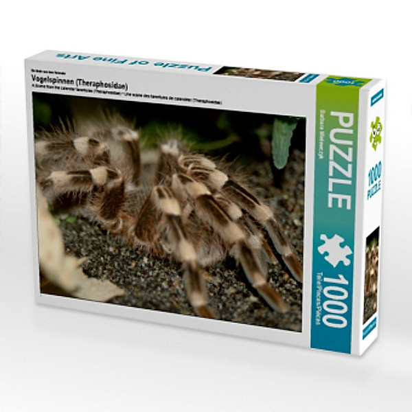 Ein Motiv aus dem Kalender Vogelspinnen (Theraphosidae) (Puzzle), Barbara Mielewczyk