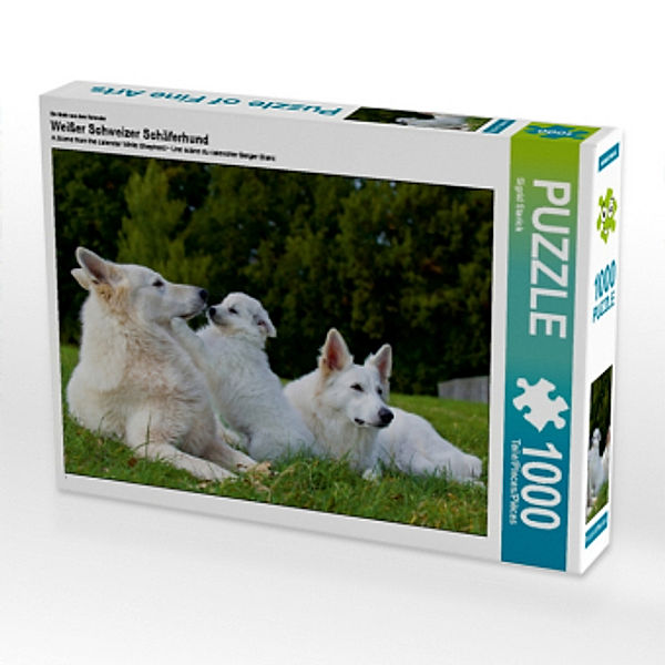 Ein Motiv aus dem Kalender Weißer Schweizer Schäferhund (Puzzle), Sigrid Starick