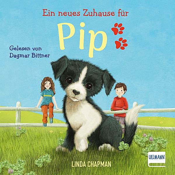 Ein neues Zuhause für Pip, Linda Chapman