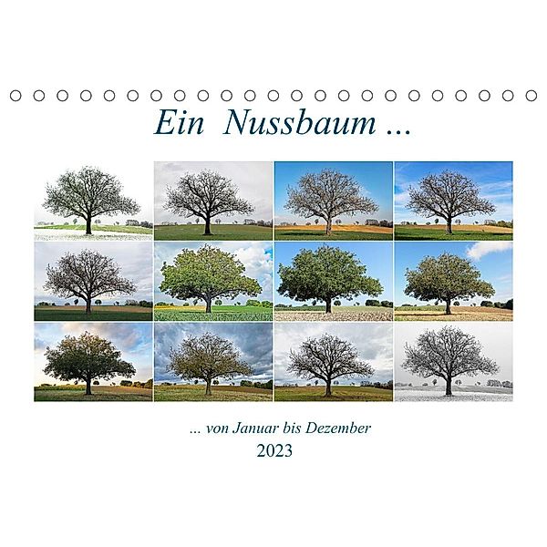 Ein Nussbaum von Januar bis Dezember (Tischkalender 2023 DIN A5 quer), Klaus Eppele