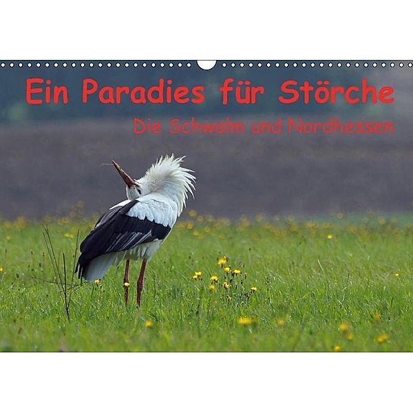 Ein Paradies für Störche (Wandkalender 2017 DIN A3 quer), Lutz Klapp