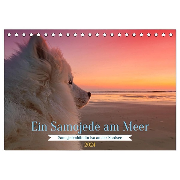 Ein Samojede am Meer (Tischkalender 2024 DIN A5 quer), CALVENDO Monatskalender, Bo Valentino