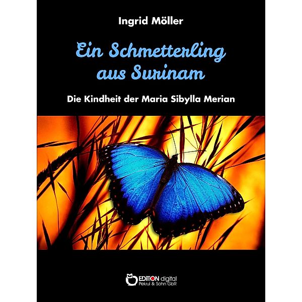 Ein Schmetterling aus Surinam, Ingrid Möller