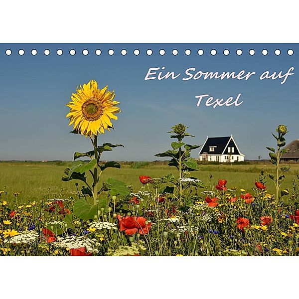 Ein Sommer auf Texel (Tischkalender 2023 DIN A5 quer), Bettina Hackstein