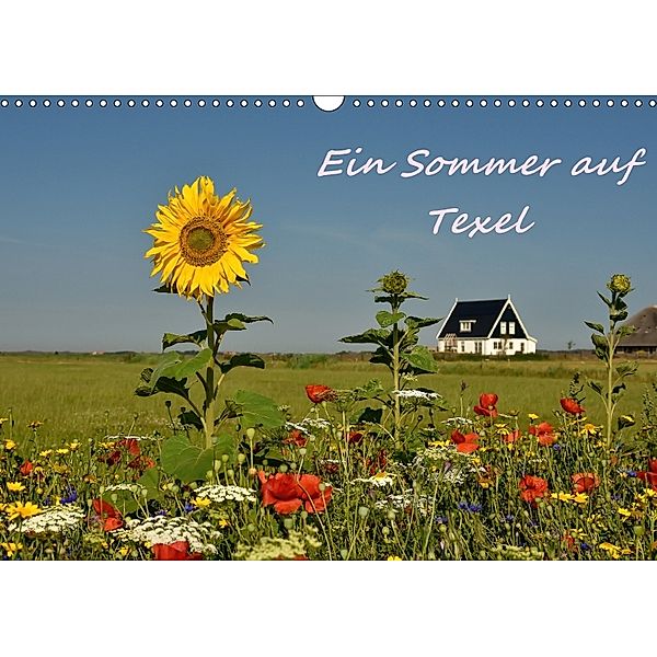 Ein Sommer auf Texel (Wandkalender 2018 DIN A3 quer), Bettina Hackstein