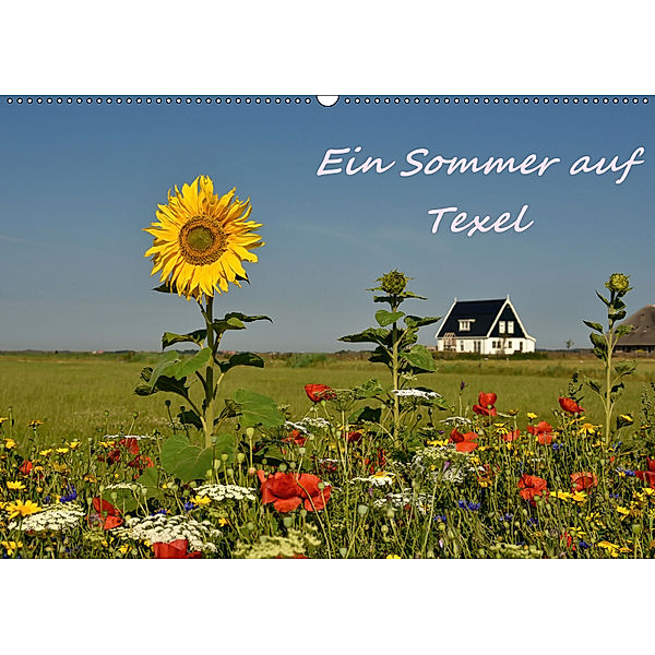 Ein Sommer auf Texel (Wandkalender 2019 DIN A2 quer), Bettina Hackstein