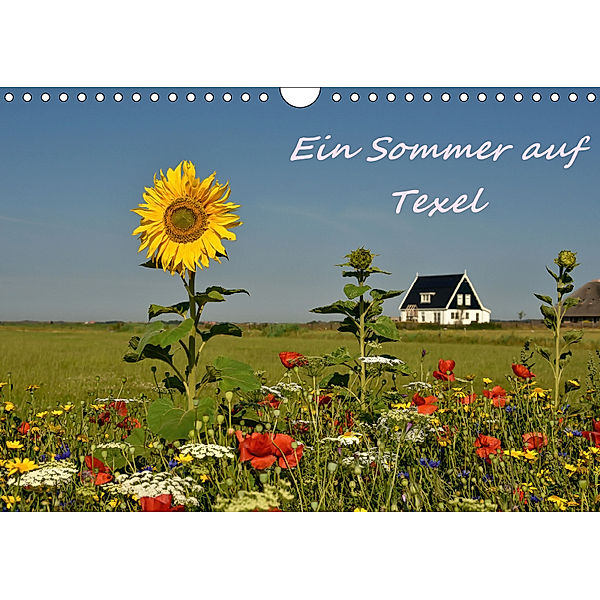 Ein Sommer auf Texel (Wandkalender 2019 DIN A4 quer), Bettina Hackstein
