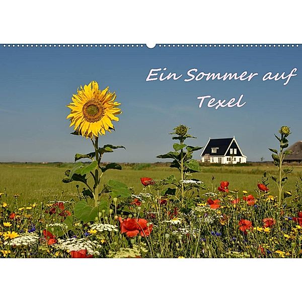 Ein Sommer auf Texel (Wandkalender 2023 DIN A2 quer), Bettina Hackstein