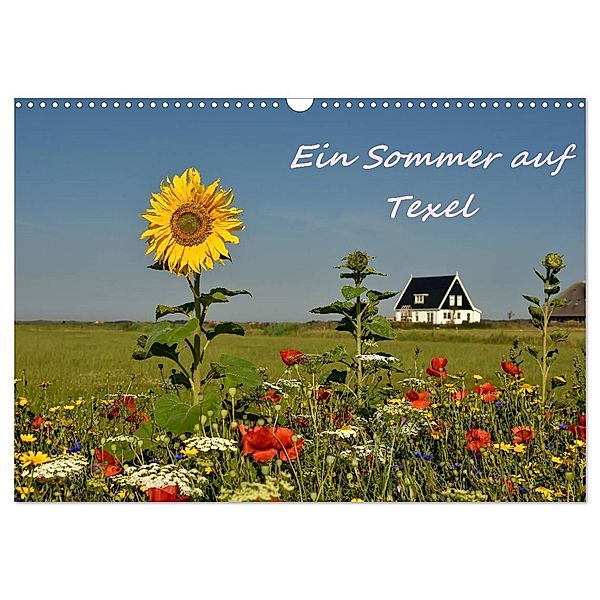 Ein Sommer auf Texel (Wandkalender 2024 DIN A3 quer), CALVENDO Monatskalender, Bettina Hackstein