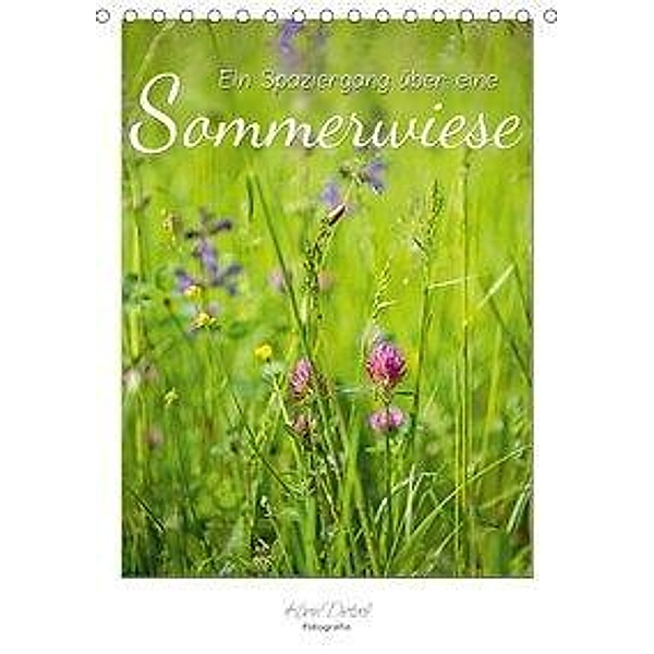 Ein Spaziergang über eine Sommerwiese (Tischkalender 2020 DIN A5 hoch), Karin Dietzel