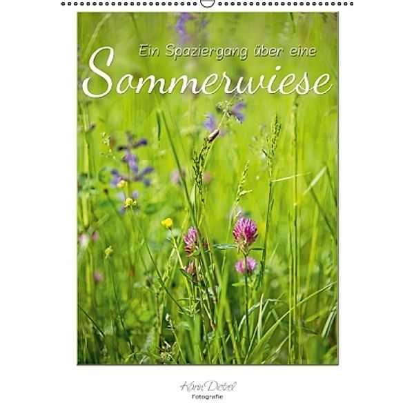 Ein Spaziergang über eine Sommerwiese (Wandkalender 2016 DIN A2 hoch), Karin Dietzel