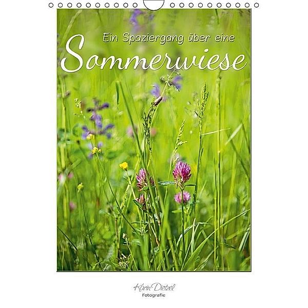 Ein Spaziergang über eine Sommerwiese (Wandkalender 2017 DIN A4 hoch), Karin Dietzel