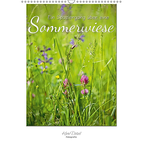Ein Spaziergang über eine Sommerwiese (Wandkalender 2019 DIN A3 hoch), Karin Dietzel