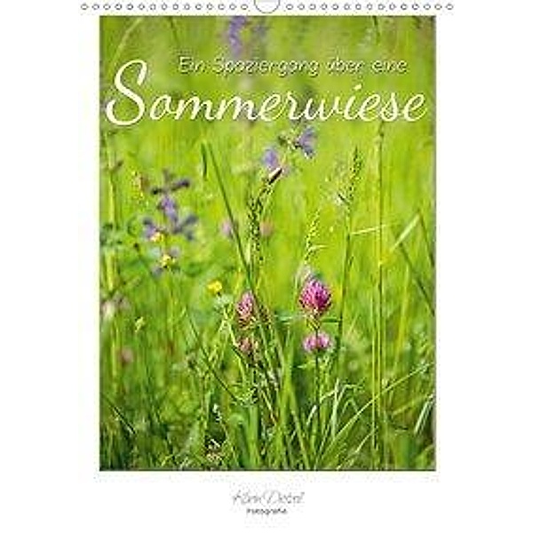Ein Spaziergang über eine Sommerwiese (Wandkalender 2020 DIN A3 hoch), Karin Dietzel