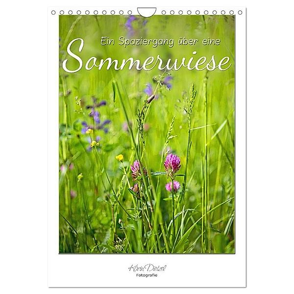 Ein Spaziergang über eine Sommerwiese (Wandkalender 2024 DIN A4 hoch), CALVENDO Monatskalender, Karin Dietzel