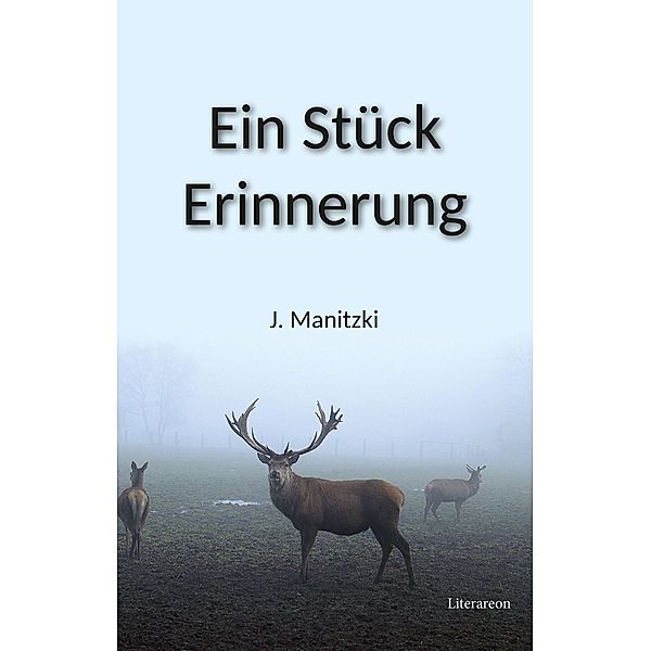 Ein Stück Erinnerung, Janett Manitzki