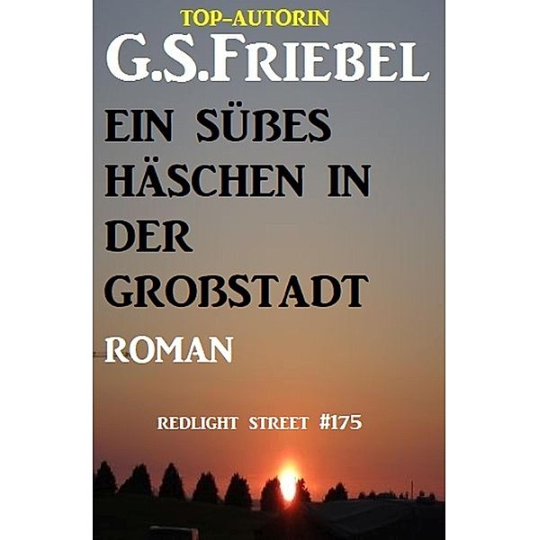 Ein süßes Häschen in der Großstadt: Redlight Street #175, G. S. Friebel