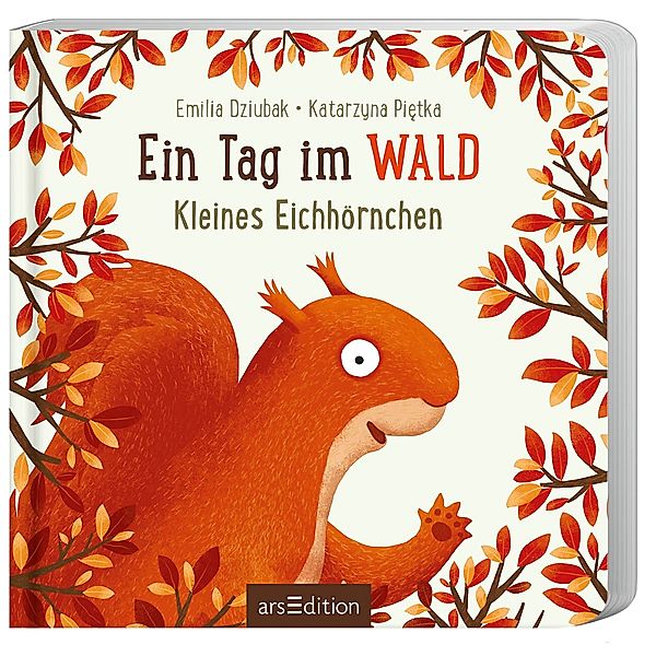 Ein Tag im Wald: Kleines Eichhörnchen