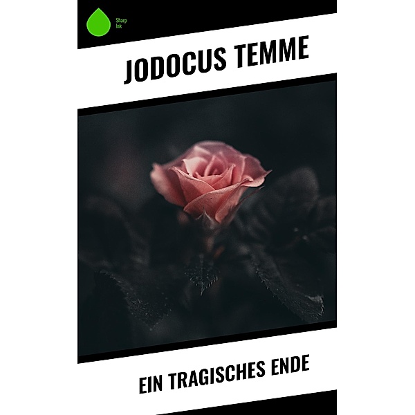 Ein tragisches Ende, Jodocus Temme
