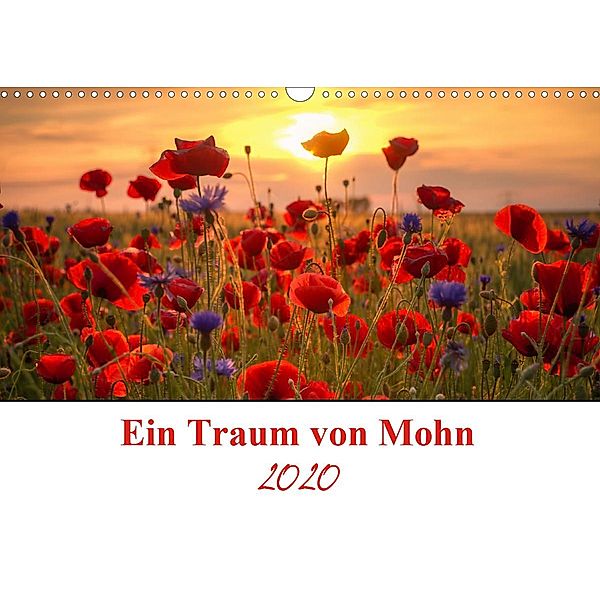 Ein Traum von Mohn (Wandkalender 2020 DIN A3 quer), Steffen Gierok