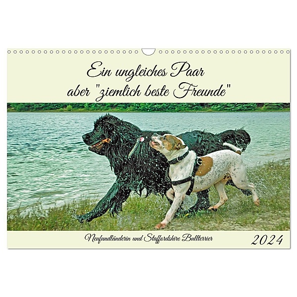 Ein ungleiches Paar aber ziemlich beste Freunde (Wandkalender 2024 DIN A3 quer), CALVENDO Monatskalender, Claudia Kleemann