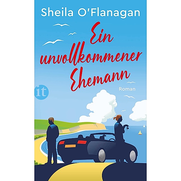 Ein unvollkommener Ehemann / Insel-Taschenbücher Bd.4911, Sheila O'Flanagan