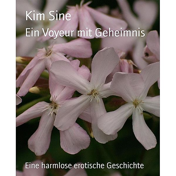 Ein Voyeur mit Geheimnis, Kim Sine