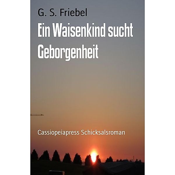 Ein Waisenkind sucht Geborgenheit, G. S. Friebel