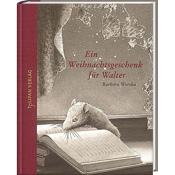 Ein Weihnachtsgeschenk für Walter, Barbara Wersba