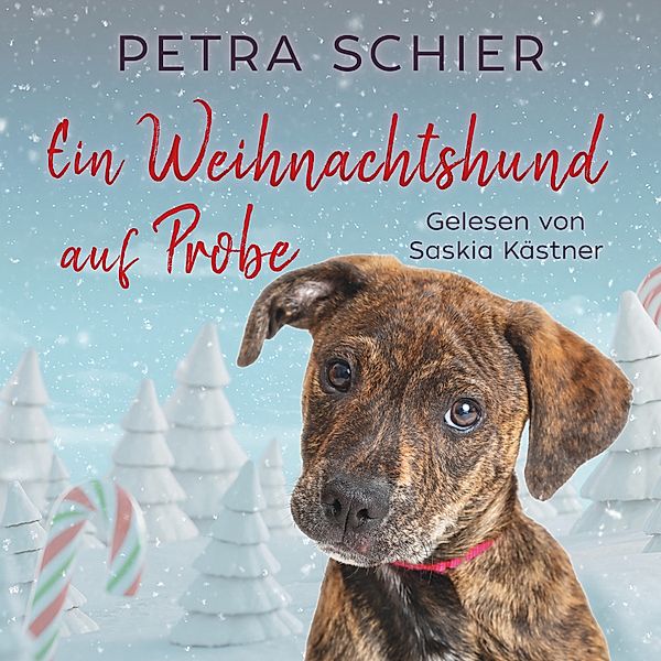 Ein Weihnachtshund auf Probe, Petra Schier