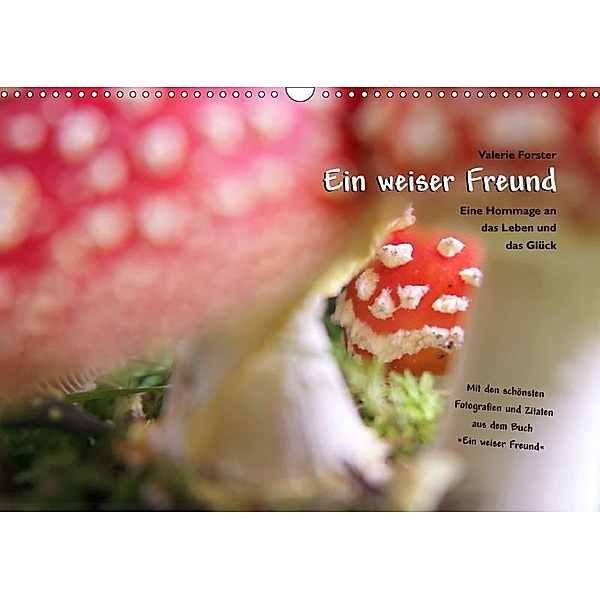 Ein weiser Freund - Kalender (Wandkalender 2019 DIN A3 quer), Valerie Forster