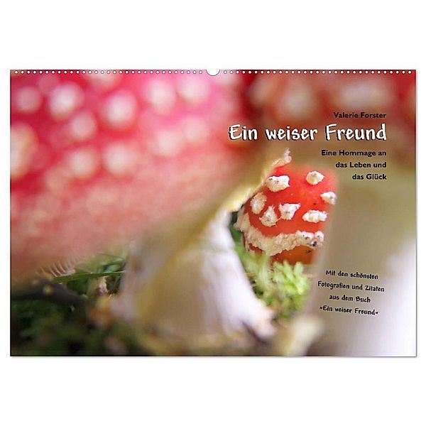 Ein weiser Freund - Kalender (Wandkalender 2024 DIN A2 quer), CALVENDO Monatskalender, Valerie Forster