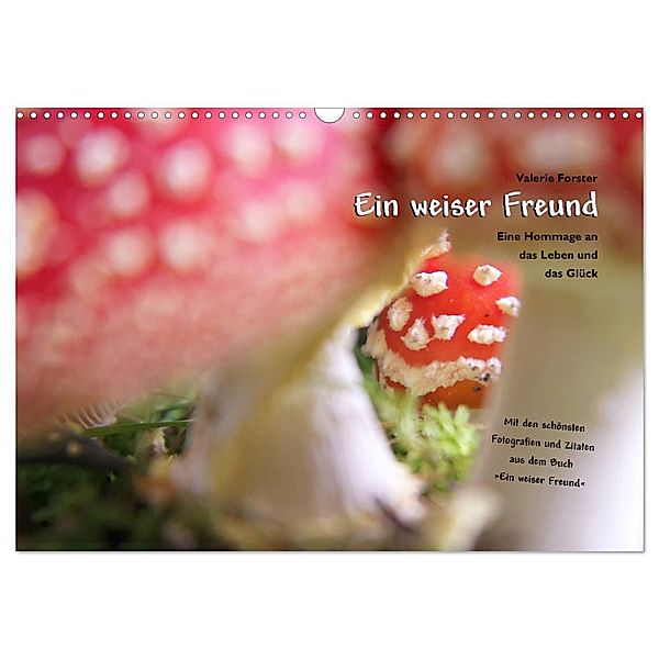 Ein weiser Freund - Kalender (Wandkalender 2025 DIN A3 quer), CALVENDO Monatskalender, Calvendo, Valerie Forster