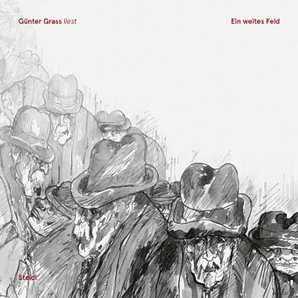 Ein weites Feld, 3 MP3-CDs, Günter Grass