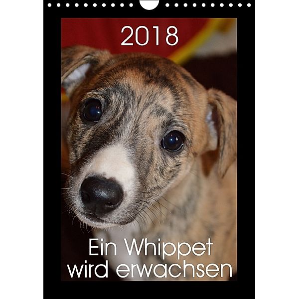 Ein Whippet wird erwachsen (Wandkalender 2018 DIN A4 hoch), Ula Redl