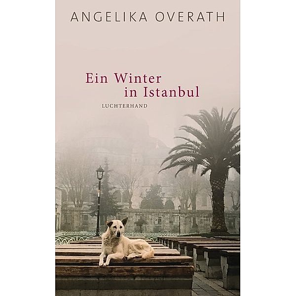 Ein Winter in Istanbul, Angelika Overath