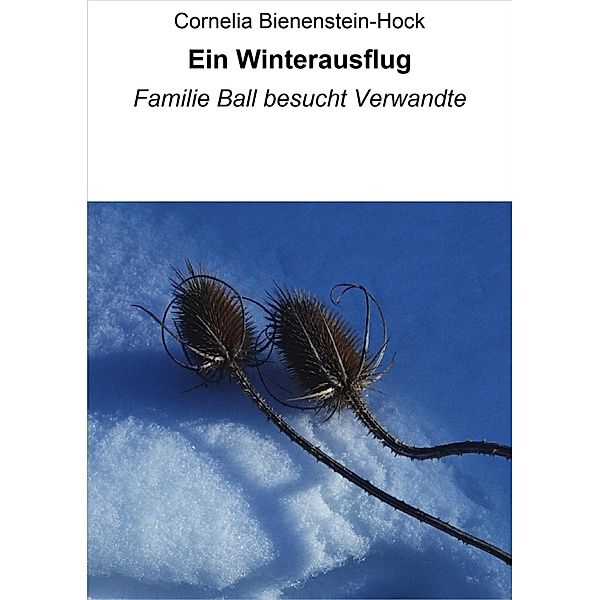 Ein Winterausflug, Cornelia Bienenstein-Hock