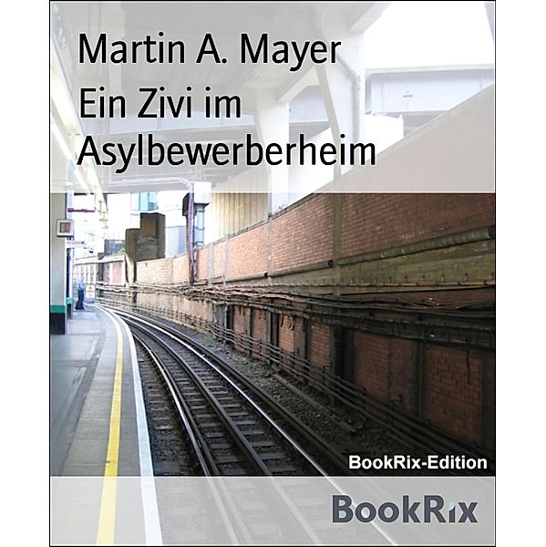 Ein Zivi im Asylbewerberheim, Martin A. Mayer
