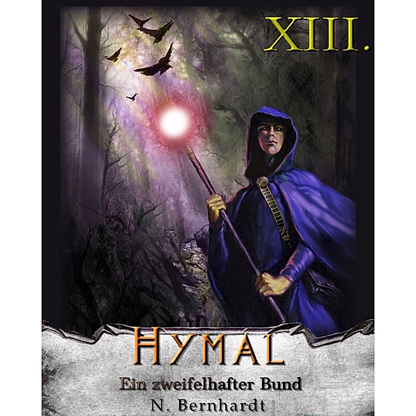 Ein zweifelhafter Bund / Der Hexer von Hymal Bd.13, N. Bernhardt