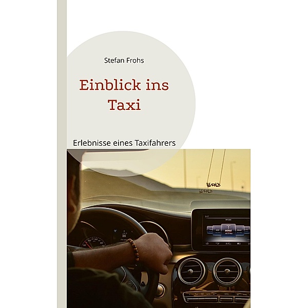 Einblick ins Taxi, Stefan Frohs