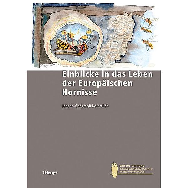 Einblicke in das Leben der Europäischen Hornissen, Johann-Christoph Kornmilch