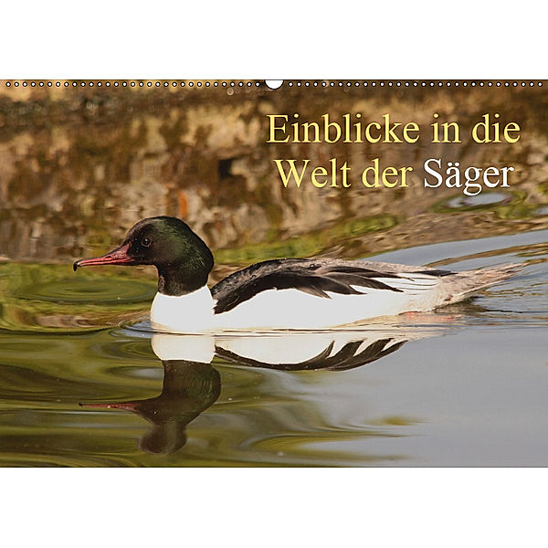 Einblicke in die Welt der Säger (Wandkalender 2019 DIN A2 quer), Winfried Erlwein