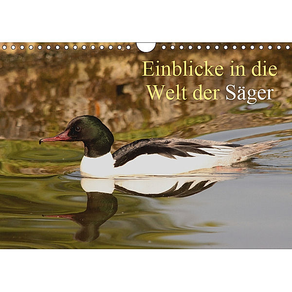 Einblicke in die Welt der Säger (Wandkalender 2019 DIN A4 quer), Winfried Erlwein