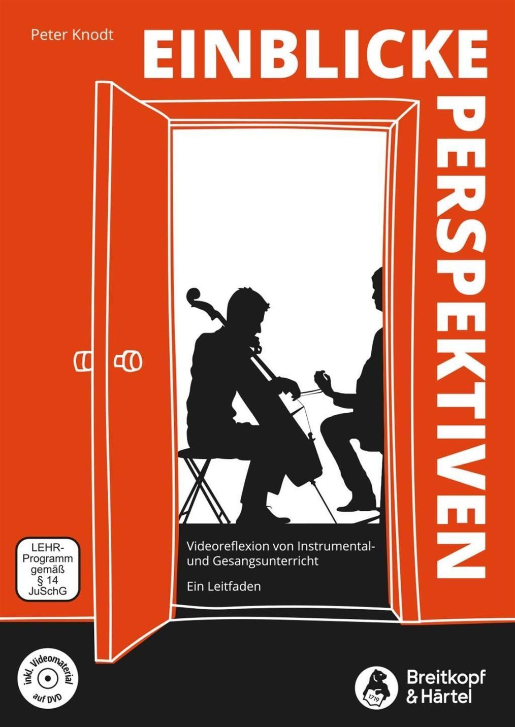 Einblicke - Perspektiven -Videoreflexion von Instrumental- und  Gesangsunterricht. Ein Leitfaden.- mit DVD Buch