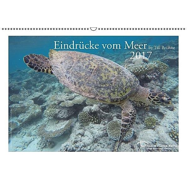 Eindrücke vom Meer 2017 (Wandkalender 2017 DIN A2 quer), Till Brühne