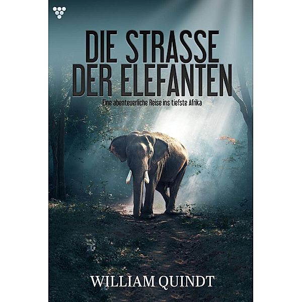 Eine abenteuerliche Reise ins tiefste Afrika / Die Straße der Elefanten Bd.1, William Quindt