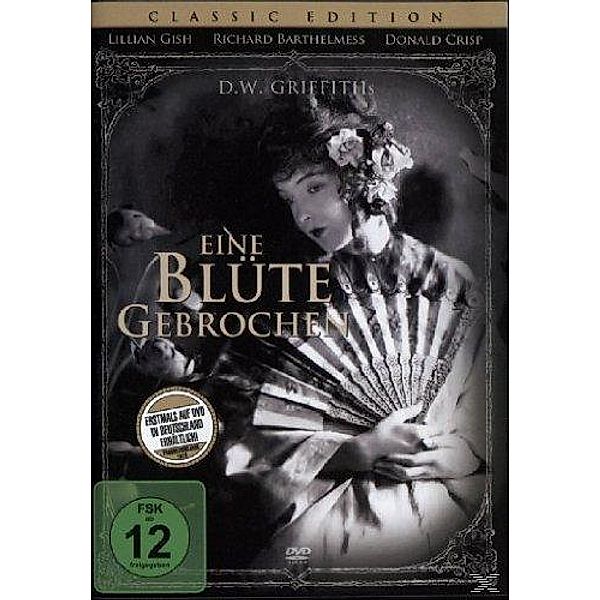 Eine Blüte gebrochen, Lillian Gish, Richard Barthelmess