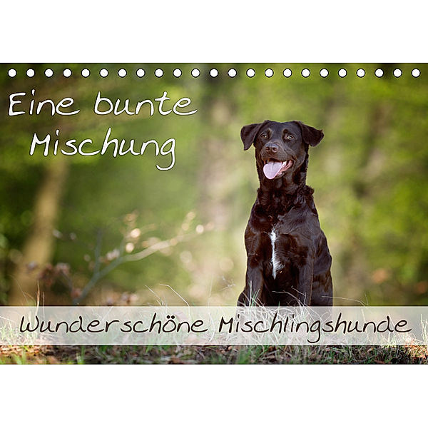 Eine bunte Mischung - wunderschöne Mischlingshunde / Geburtstagskalender (Tischkalender 2019 DIN A5 quer), Nicole Noack